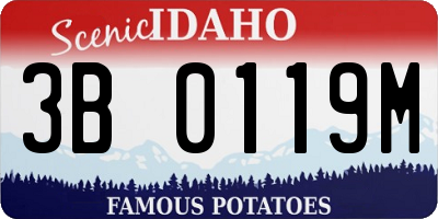 ID license plate 3B0119M