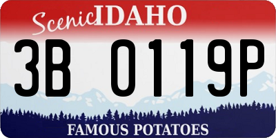 ID license plate 3B0119P