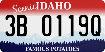 ID license plate 3B0119Q