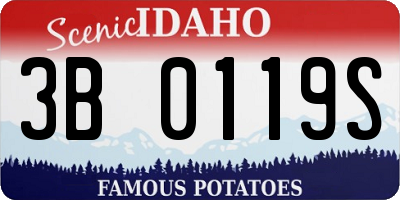 ID license plate 3B0119S