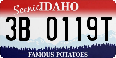 ID license plate 3B0119T