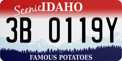 ID license plate 3B0119Y