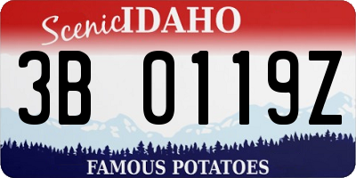 ID license plate 3B0119Z