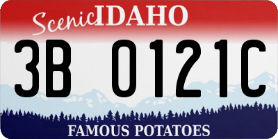ID license plate 3B0121C