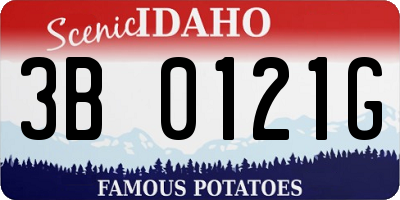 ID license plate 3B0121G
