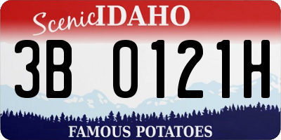 ID license plate 3B0121H