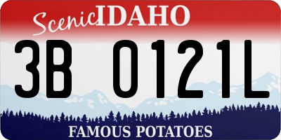 ID license plate 3B0121L
