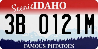 ID license plate 3B0121M