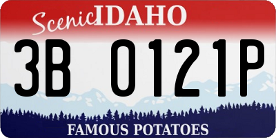 ID license plate 3B0121P