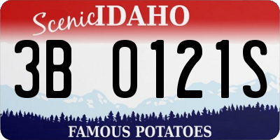 ID license plate 3B0121S