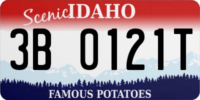 ID license plate 3B0121T