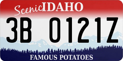 ID license plate 3B0121Z