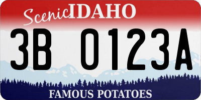ID license plate 3B0123A