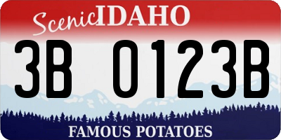 ID license plate 3B0123B