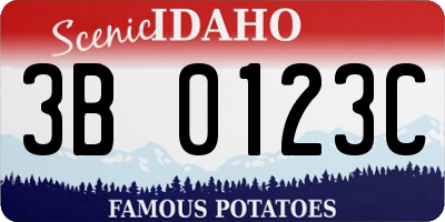 ID license plate 3B0123C