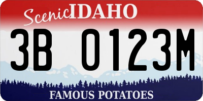 ID license plate 3B0123M