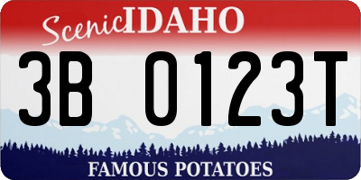 ID license plate 3B0123T