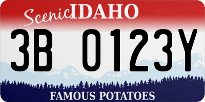 ID license plate 3B0123Y
