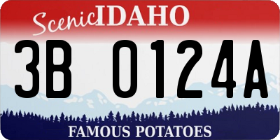 ID license plate 3B0124A