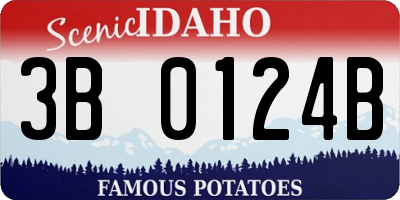 ID license plate 3B0124B