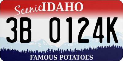 ID license plate 3B0124K