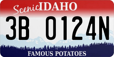 ID license plate 3B0124N