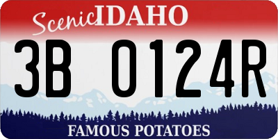 ID license plate 3B0124R