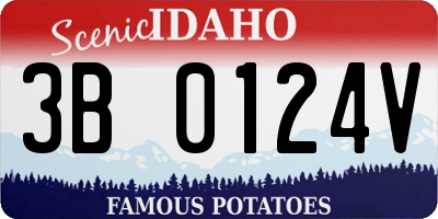 ID license plate 3B0124V