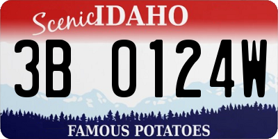 ID license plate 3B0124W
