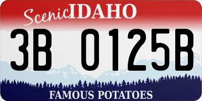 ID license plate 3B0125B