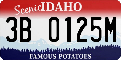 ID license plate 3B0125M