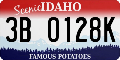 ID license plate 3B0128K