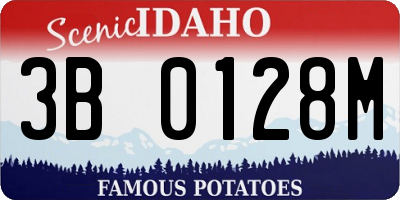 ID license plate 3B0128M