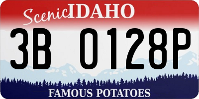 ID license plate 3B0128P