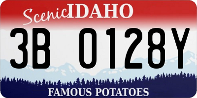 ID license plate 3B0128Y