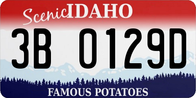 ID license plate 3B0129D