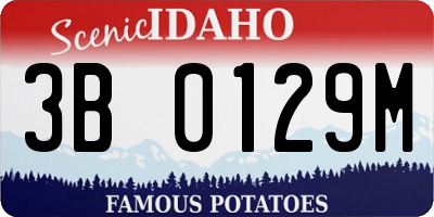 ID license plate 3B0129M