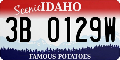 ID license plate 3B0129W