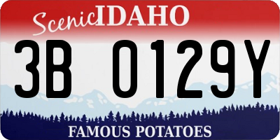 ID license plate 3B0129Y