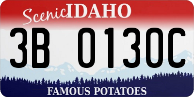 ID license plate 3B0130C