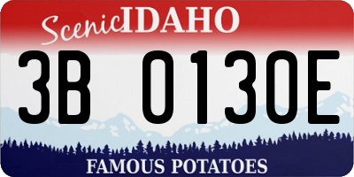 ID license plate 3B0130E