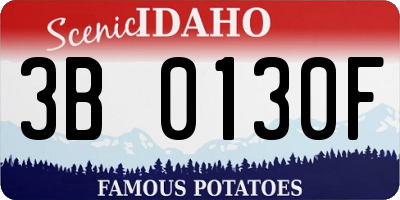 ID license plate 3B0130F
