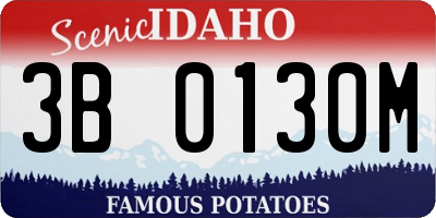 ID license plate 3B0130M