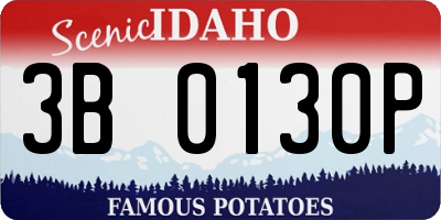 ID license plate 3B0130P