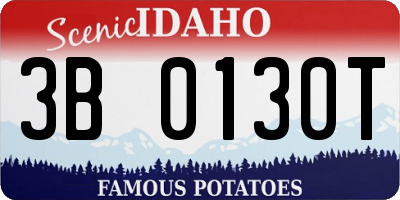 ID license plate 3B0130T
