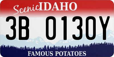ID license plate 3B0130Y
