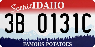 ID license plate 3B0131C
