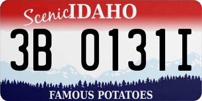 ID license plate 3B0131I