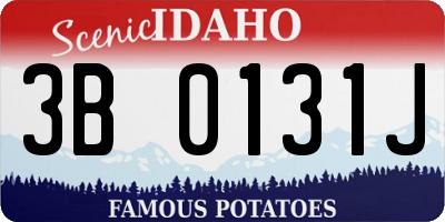 ID license plate 3B0131J