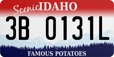 ID license plate 3B0131L